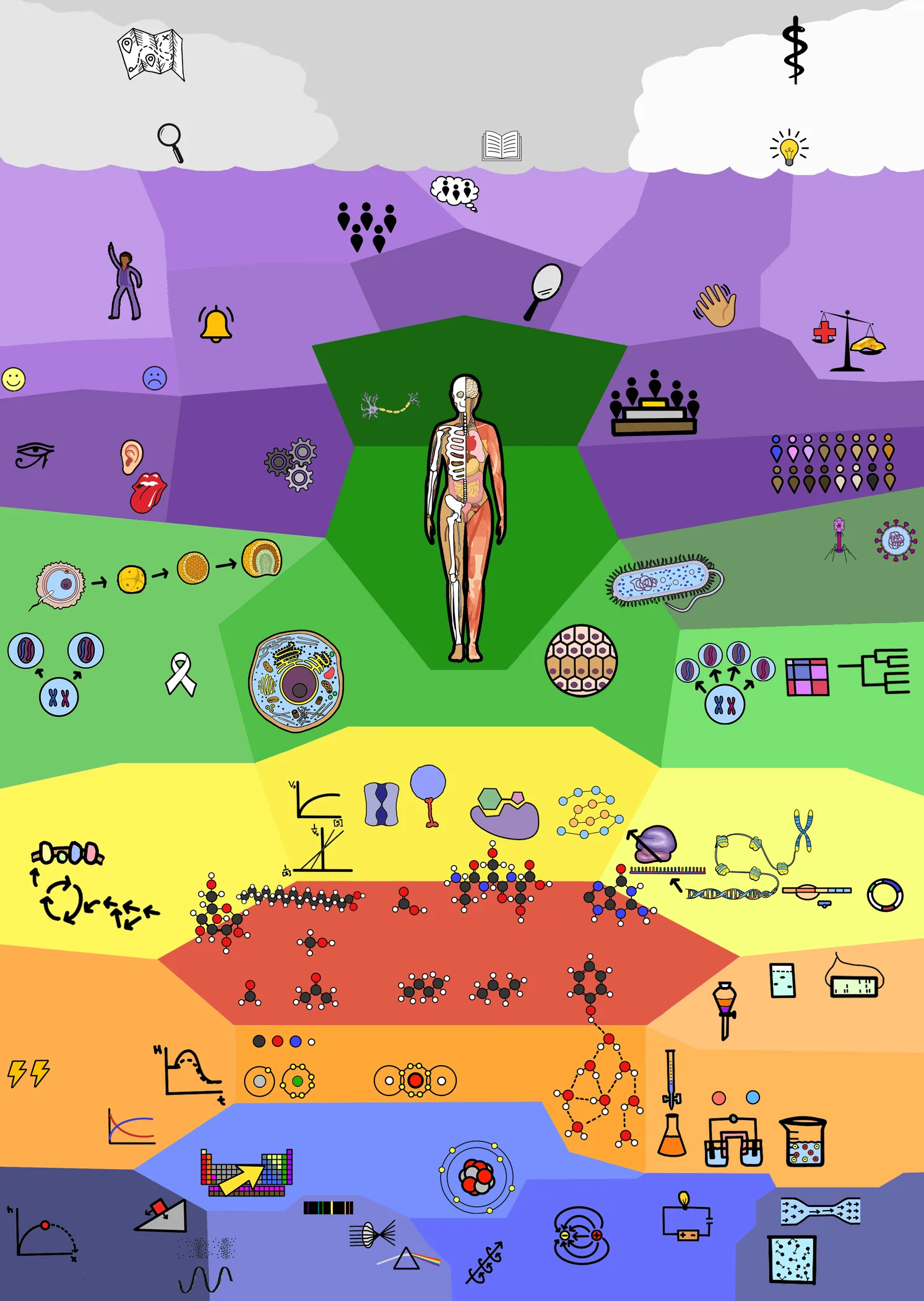 The Map of the MCAT: an illustrated poster of every MCAT content area.
